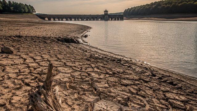 Britain's Heatwave Crisis: Protecting Landscapes in Extreme Weather